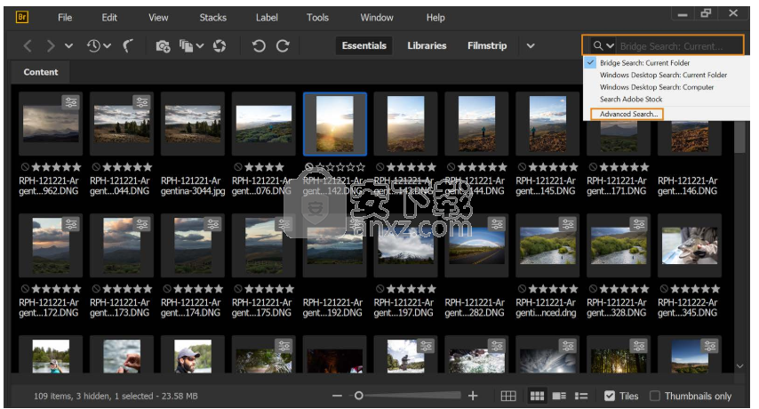 adobe bridge cc 2020中文