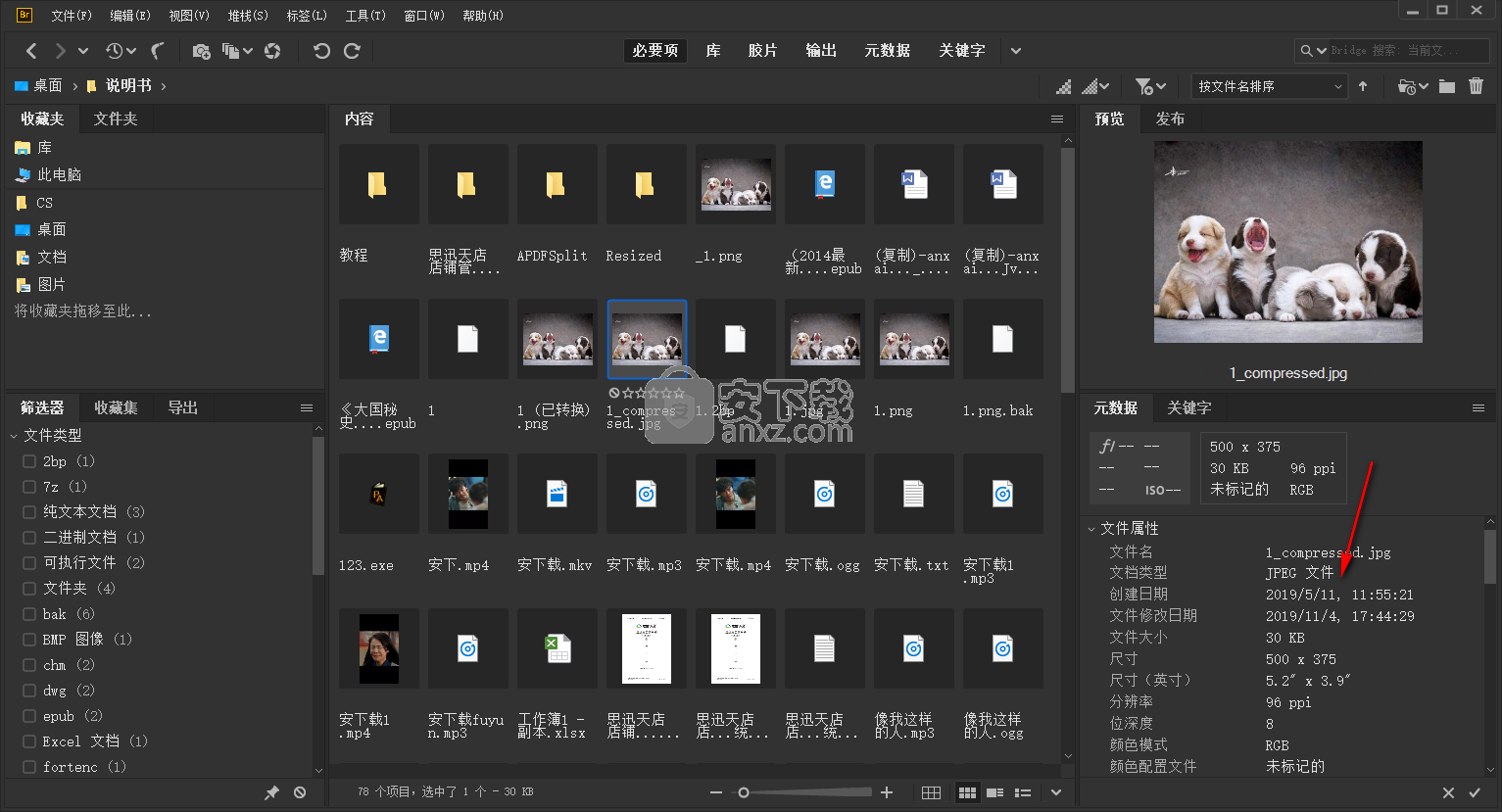 adobe bridge cc 2020中文