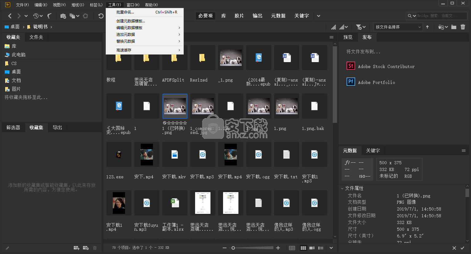 adobe bridge cc 2020中文