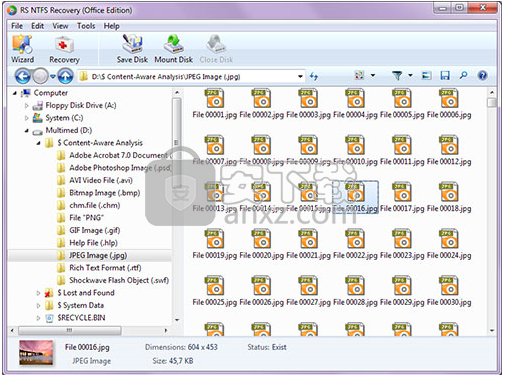 RS NTFS Recovery(NTFS恢复软件)
