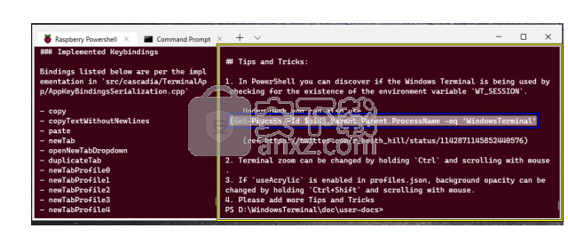 Windows Terminal(命令行终端工具)