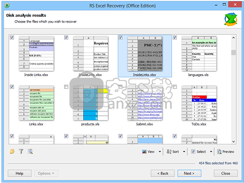 RS Excel Recovery(Excel恢复软件)