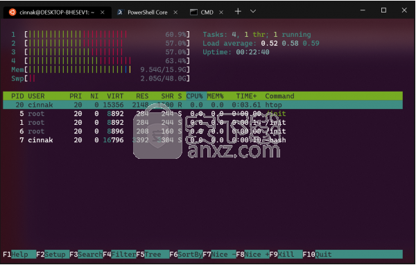 Windows Terminal(命令行终端工具)
