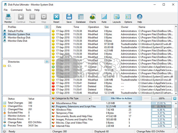 Disk Pulse Enterprise(磁盘监测工具)