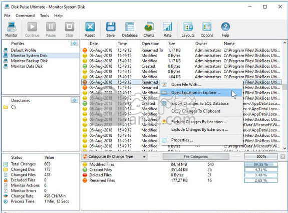 Disk Pulse Enterprise(磁盘监测工具)