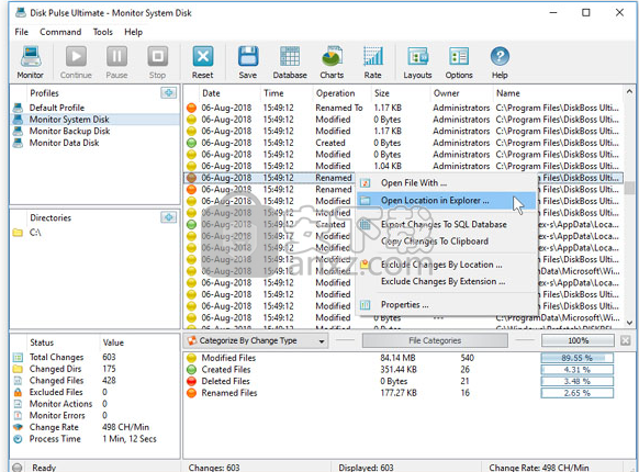 Disk Pulse Enterprise(磁盘监测工具)