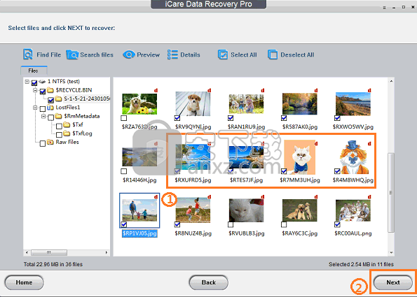 iCare Photo Recovery(照片恢复软件)