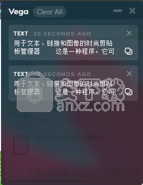 Vega Clipboard(剪贴板监控和查看软件)