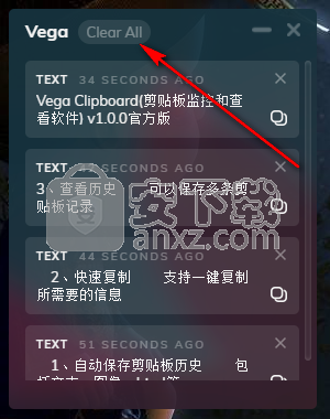 Vega Clipboard(剪贴板监控和查看软件)