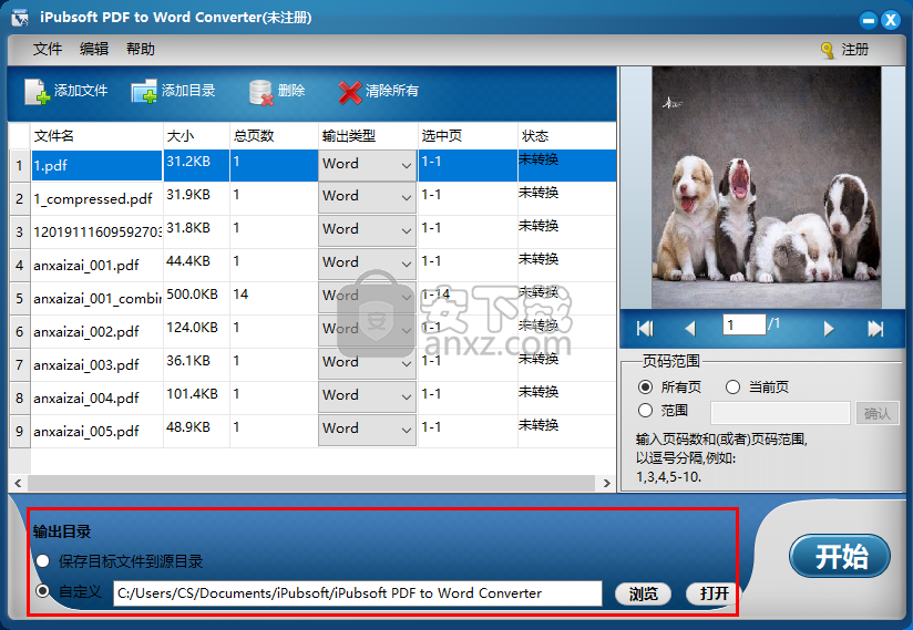 iPubsoft pdf to Word Converter(PDF转Word工具)