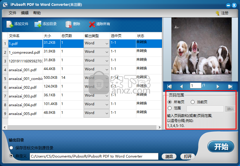 iPubsoft pdf to Word Converter(PDF转Word工具)