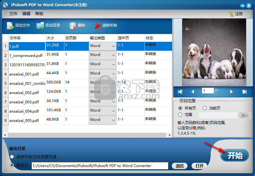 iPubsoft pdf to Word Converter(PDF转Word工具)