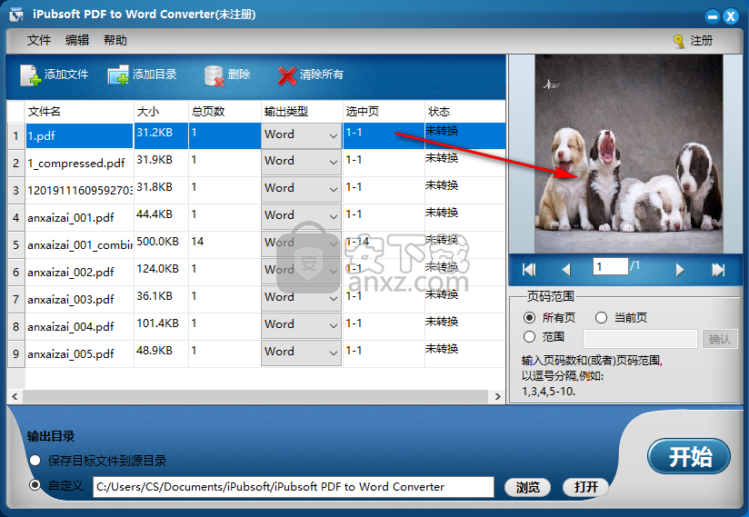 iPubsoft pdf to Word Converter(PDF转Word工具)