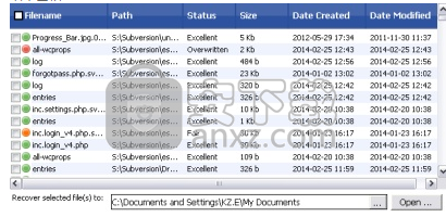 eSupport Undelete Plus(删除数据恢复软件)