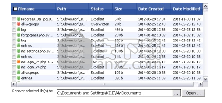 eSupport Undelete Plus(删除数据恢复软件)