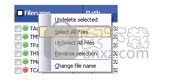 eSupport Undelete Plus(删除数据恢复软件)