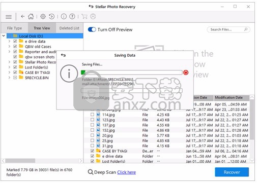 Stellar Photo Recovery(照片恢复软件)