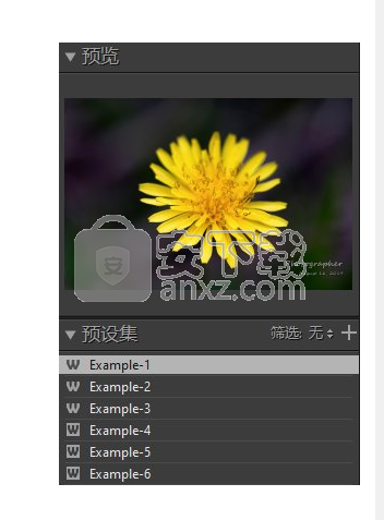 PT Watermark(图片水印制作软件)