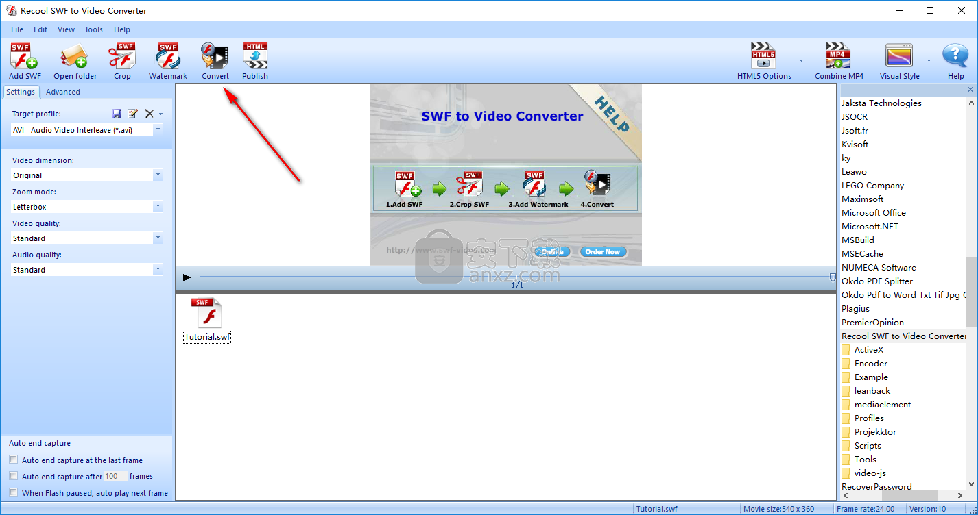 Recool SWF to Video Converter(swf格式转换器)