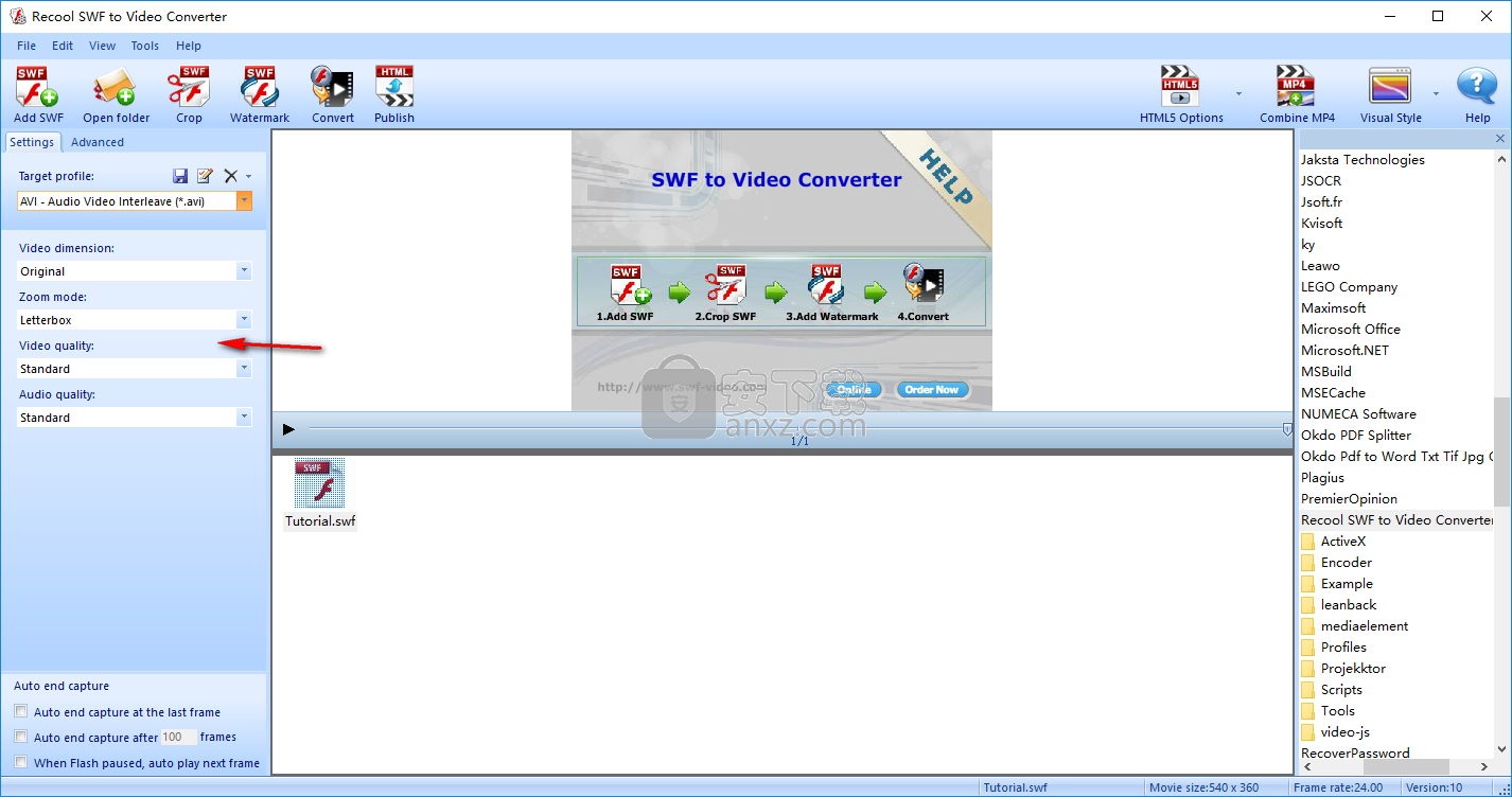 Recool SWF to Video Converter(swf格式转换器)