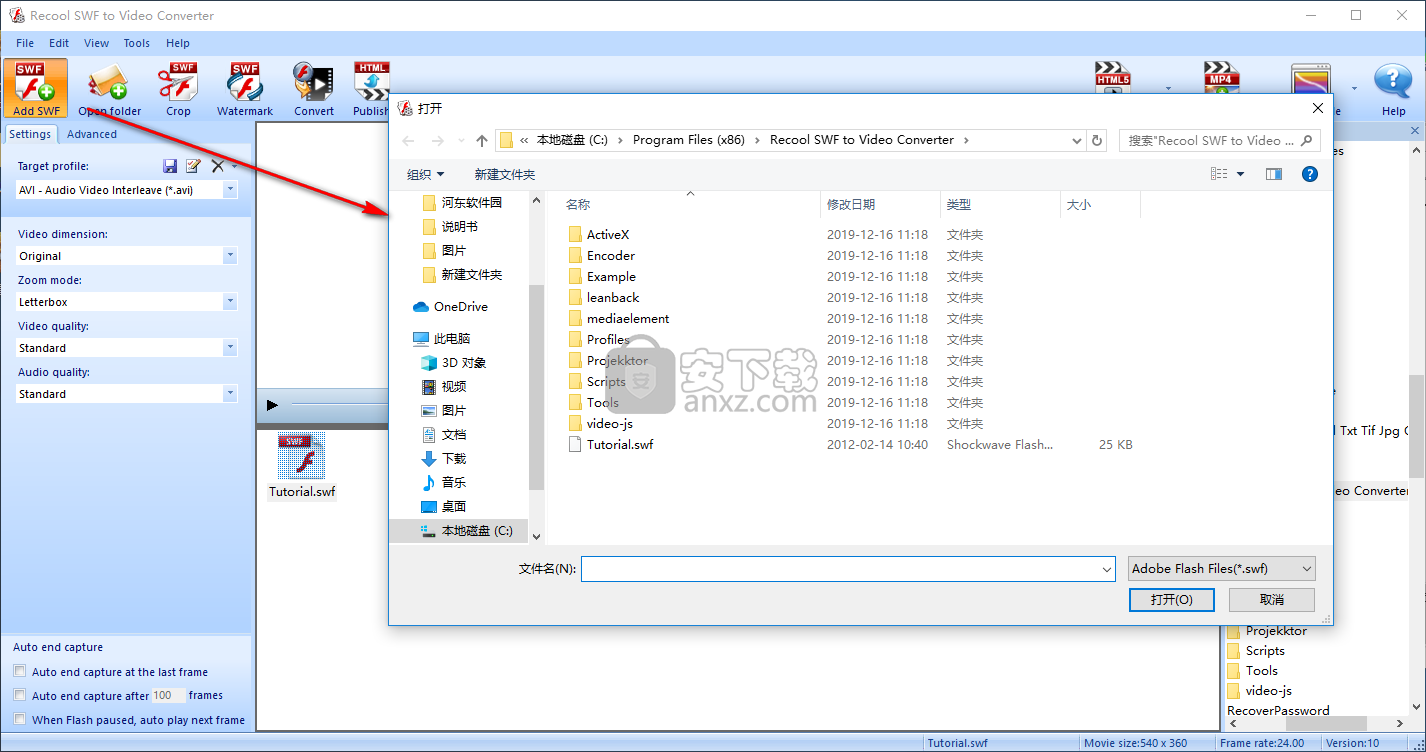 Recool SWF to Video Converter(swf格式转换器)