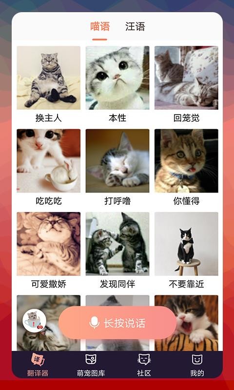 猫语翻译器(1)