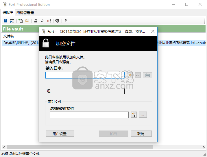 Fort File encryption(文件加密软件)