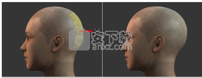 Character Creator(3D人物设计软件)