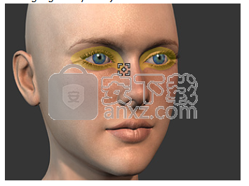 Character Creator(3D人物设计软件)