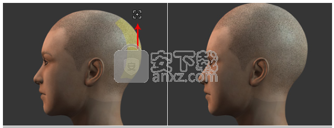 Character Creator(3D人物设计软件)
