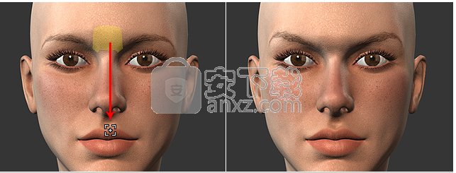 Character Creator(3D人物设计软件)