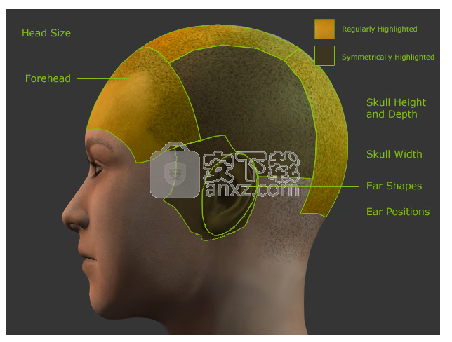 Character Creator(3D人物设计软件)