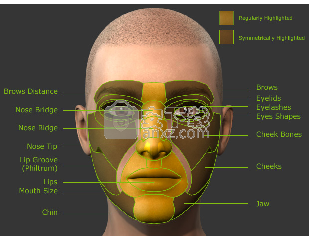 Character Creator(3D人物设计软件)