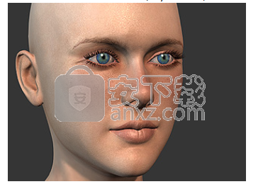 Character Creator(3D人物设计软件)