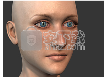 Character Creator(3D人物设计软件)