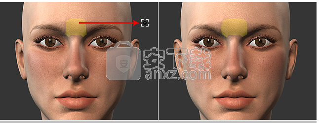 Character Creator(3D人物设计软件)