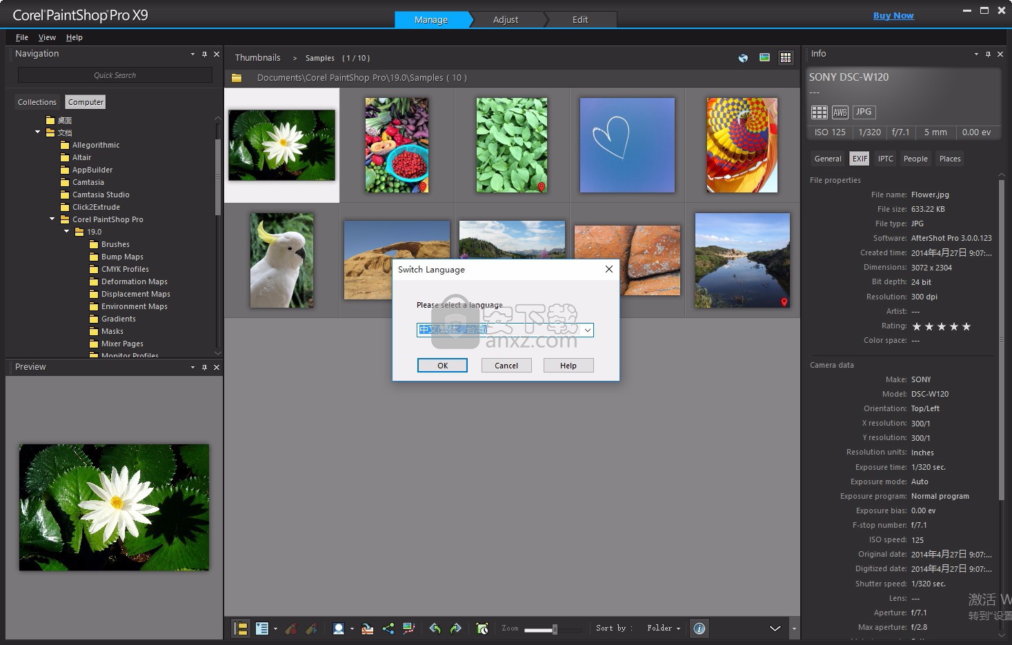 Corel PaintShop Pro X9中文 含32位/64位