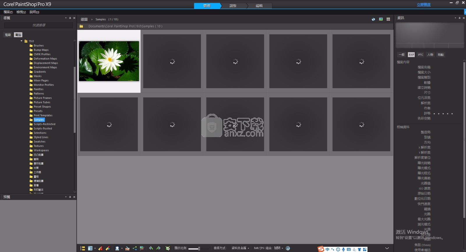 Corel PaintShop Pro X9中文 含32位/64位
