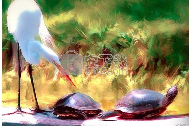 corel painter essentials 6中文