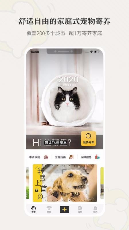 小狗在家