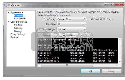 Boson NetSim 11(网络仿真软件)