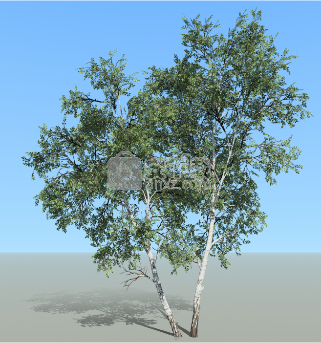 SpeedTree Modeler(三维树木建模软件)