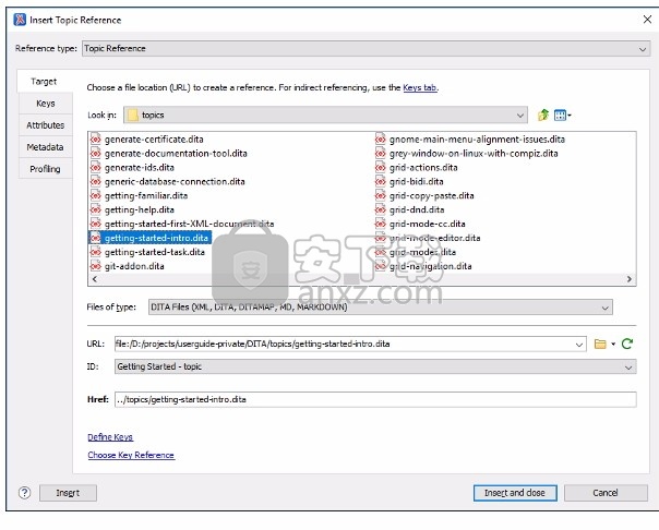 Oxygen XML Editor 18(XML编辑与查看工具)