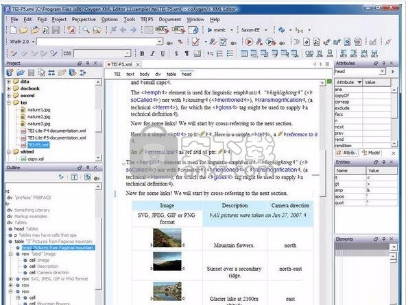 Oxygen XML Editor 18(XML编辑与查看工具)