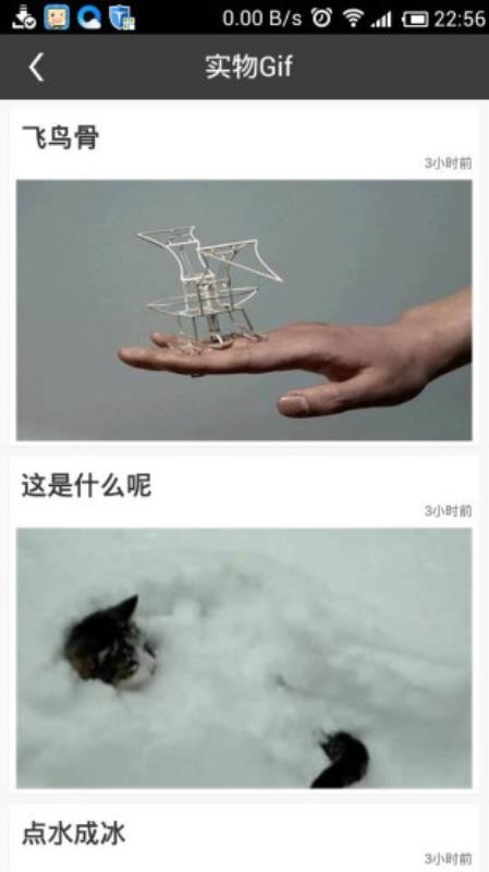 Gif动态一图