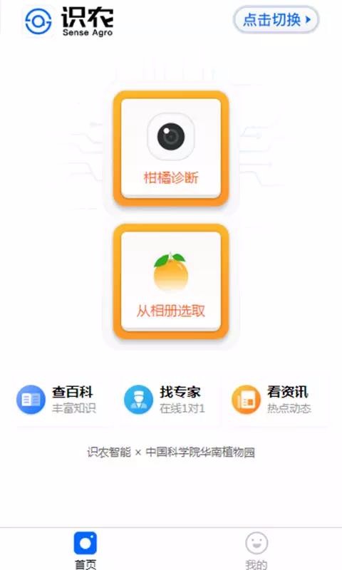 识农