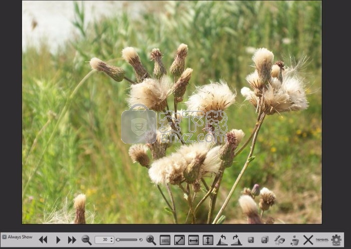 图像处理与编辑工(hornil stylepix pro)