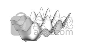 Form-Z Pro(3D建模软件)