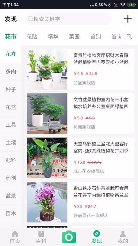 御花园