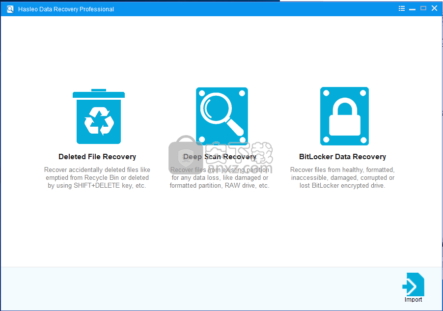 Hasleo Data Recovery Professional(数据恢复软件)